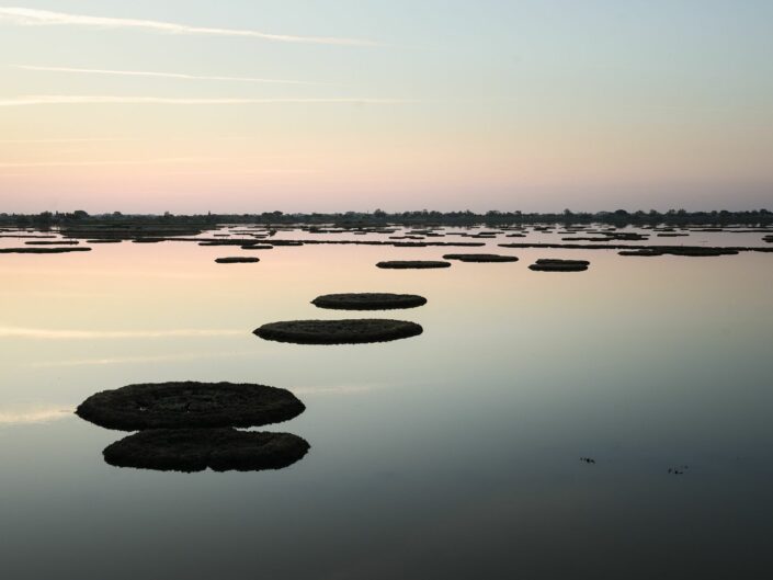 MA PETITE CAMARGUE