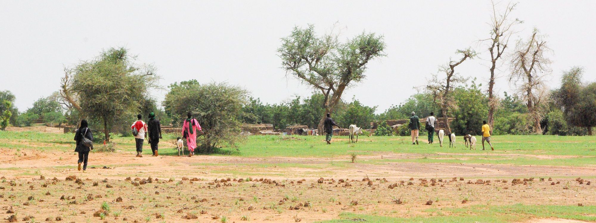 Portfolio Instants présents (27 sur 30)