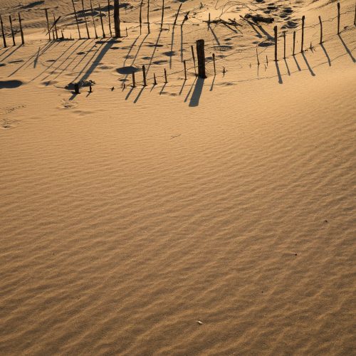 Portfolio Ma petite Camargue-59