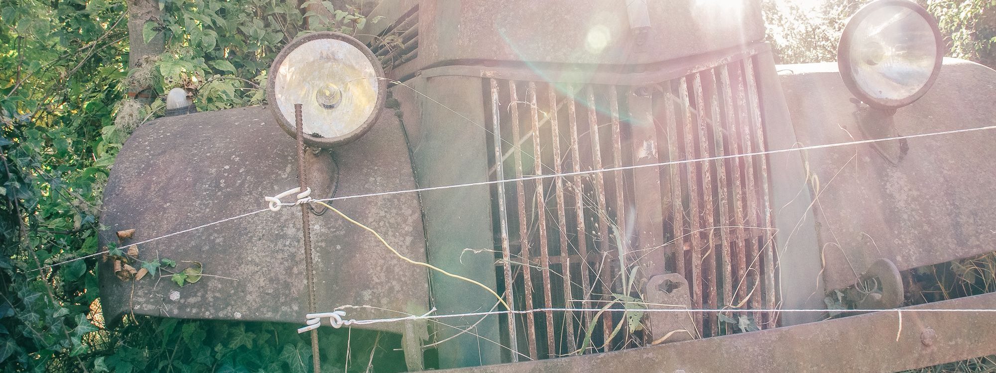 Portfolio Mémoires vivantes-23