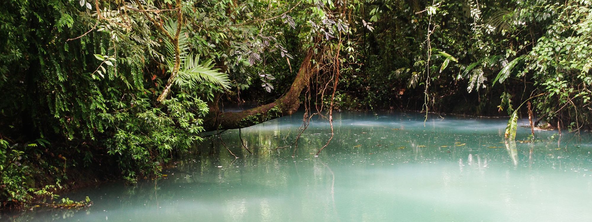 Portfolio Nature brute-17